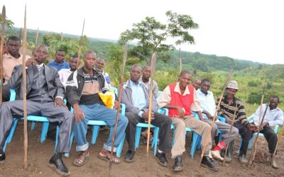 COVID-19; Experts warn on environmental degradation, bush meat