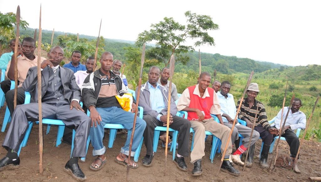 COVID-19; Experts warn on environmental degradation, bush meat