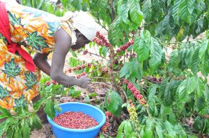 image_agro_tourism_uganda