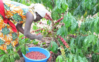 Stakeholders in Tourism industry told to expand scope