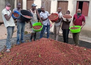 Men displaying red cherries after a harvesting exercise at Muga Eco Village farm.