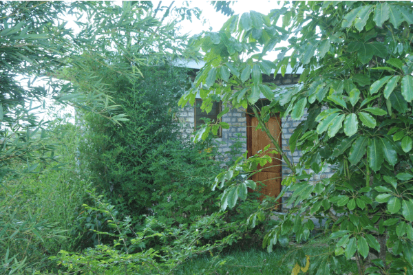 image_ecovillage_background